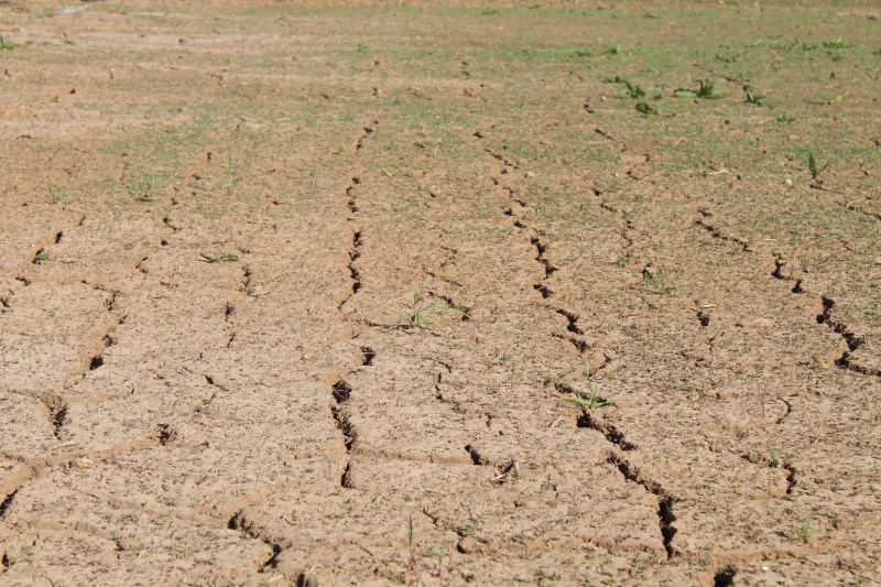 He Grew Up Watching the Fields Go Dry. Then He Figured Out How to Save Them.